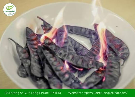 Đốt bồ kết có tác dụng gì? Thanh lọc không khí, sạch thoáng tự nhiên