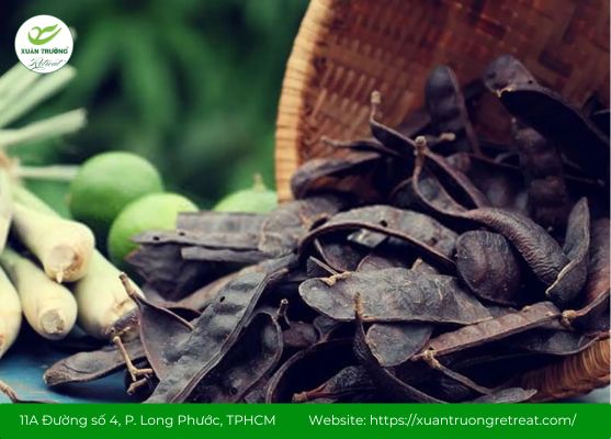 đốt bồ kết có tác dụng gì