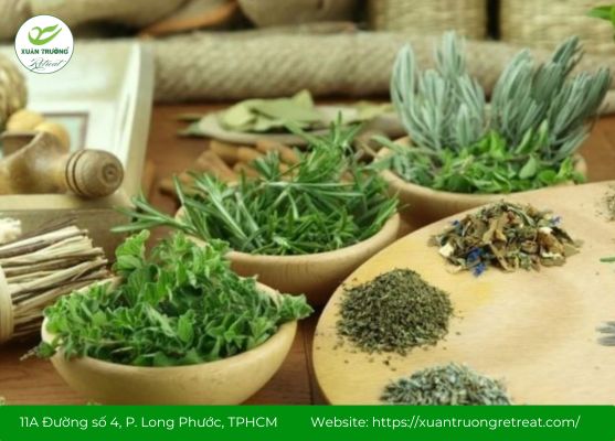 uống lá cây gì tốt cho phổi