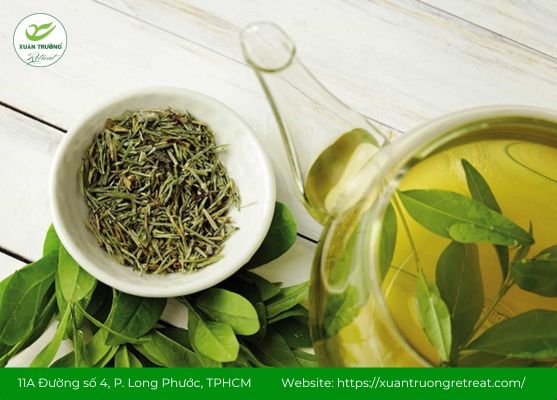 Trà xanh hỗ trợ giải độc gan, thanh lọc cơ thể tự nhiên mỗi ngày