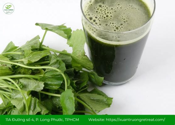 Uống lá gì để mát gan bổ thận